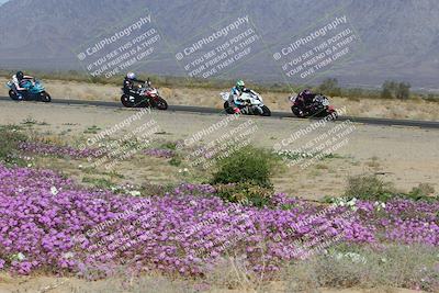 media/Feb-04-2023-SoCal Trackdays (Sat) [[8a776bf2c3]]/Turn 15 Inside Blooming (1050am)/